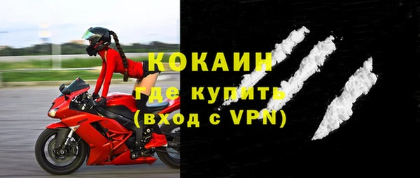 ГАЛЛЮЦИНОГЕННЫЕ ГРИБЫ Михайлов