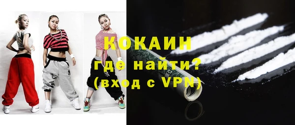 ГАЛЛЮЦИНОГЕННЫЕ ГРИБЫ Михайлов