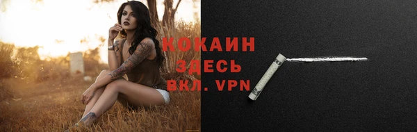 ГАЛЛЮЦИНОГЕННЫЕ ГРИБЫ Михайлов