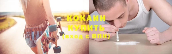 ГАЛЛЮЦИНОГЕННЫЕ ГРИБЫ Михайлов