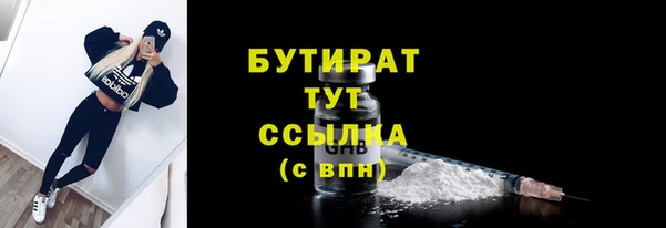 ГАЛЛЮЦИНОГЕННЫЕ ГРИБЫ Михайлов