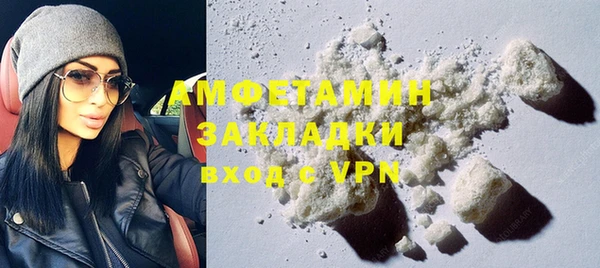 ГАЛЛЮЦИНОГЕННЫЕ ГРИБЫ Михайлов
