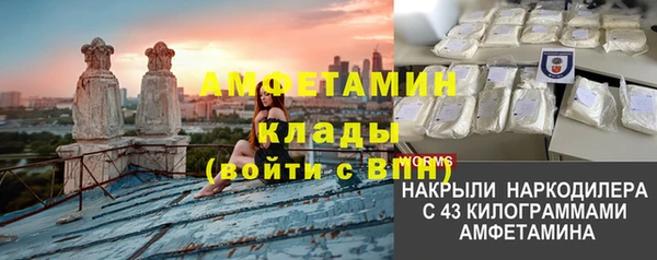 крисы Березники
