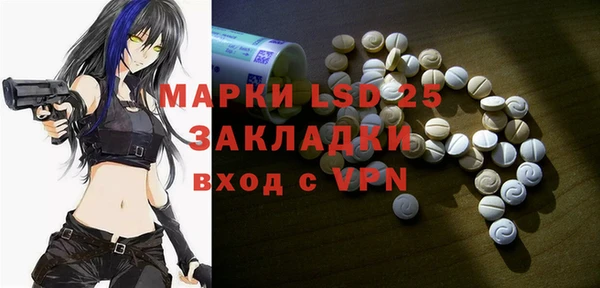 ГАЛЛЮЦИНОГЕННЫЕ ГРИБЫ Михайлов