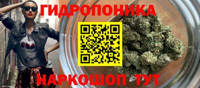 дмт Новозыбков