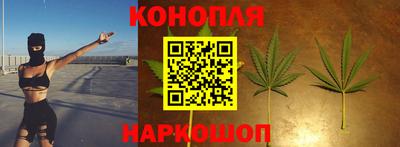 дмт Новозыбков