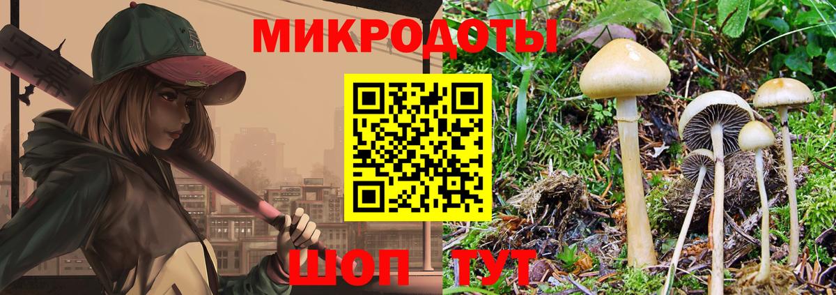 Усть-Кут  закладка  Псилоцибиновые грибы MAGIC MUSHROOMS  Вход с VPN  Псилоцибиновые грибы прущие грибы 