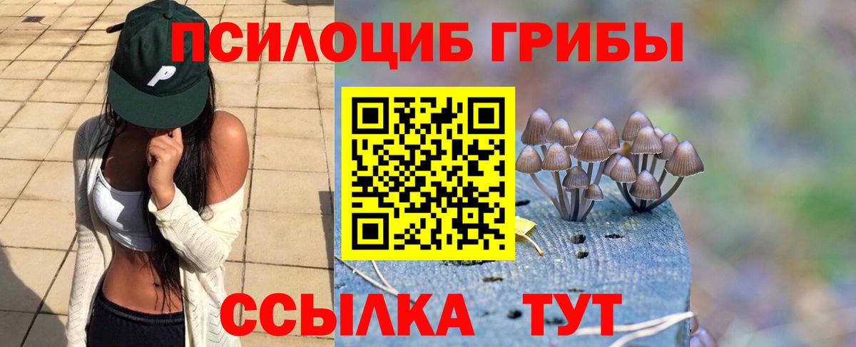 Псилоцибиновые грибы GOLDEN TEACHER Усть-Кут